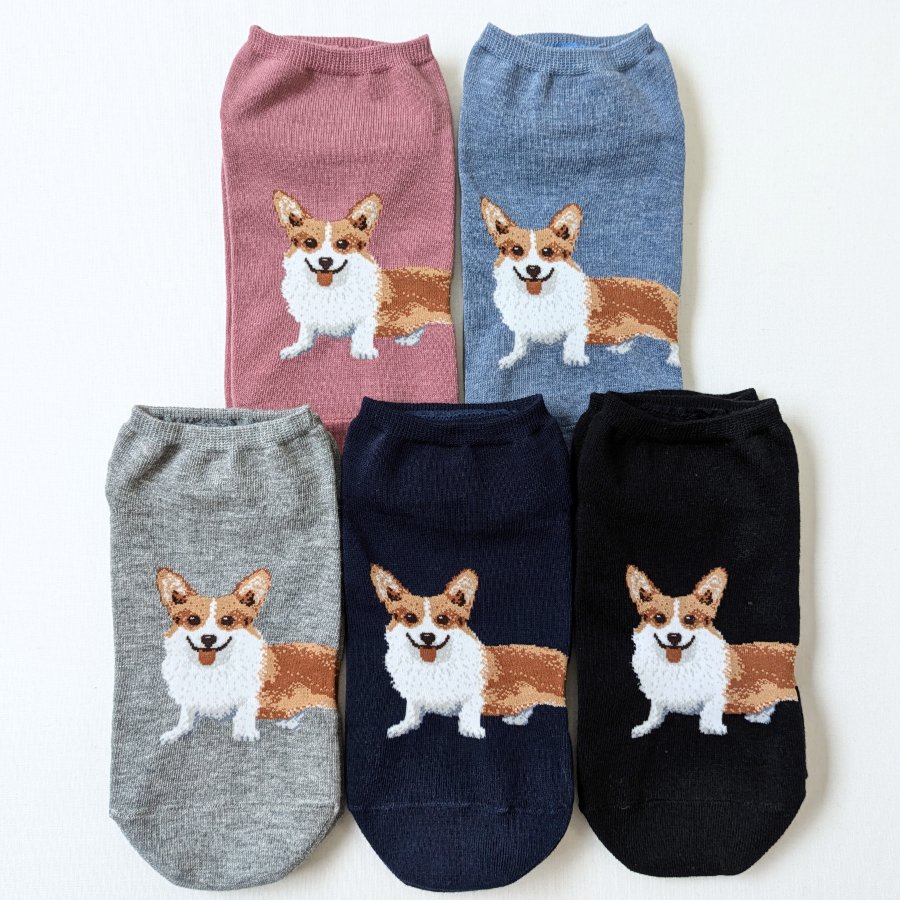 Legacess_JP's tweet photo. コーギー好きの皆様、お待たせ致しました！
本日12月6日10:00より、大人気『コーギー靴下』を数量限定で再販いたします🥰

https://t.co/00ulSzhGn9
※楽天市場限定

#コーギー #靴下 #靴下コーデ #コーギー大好き #ウェルシュコーギー #ウェルシュコーギーペンブローク #コーギーのいる暮らし https://t.co/7J5G6yIauX