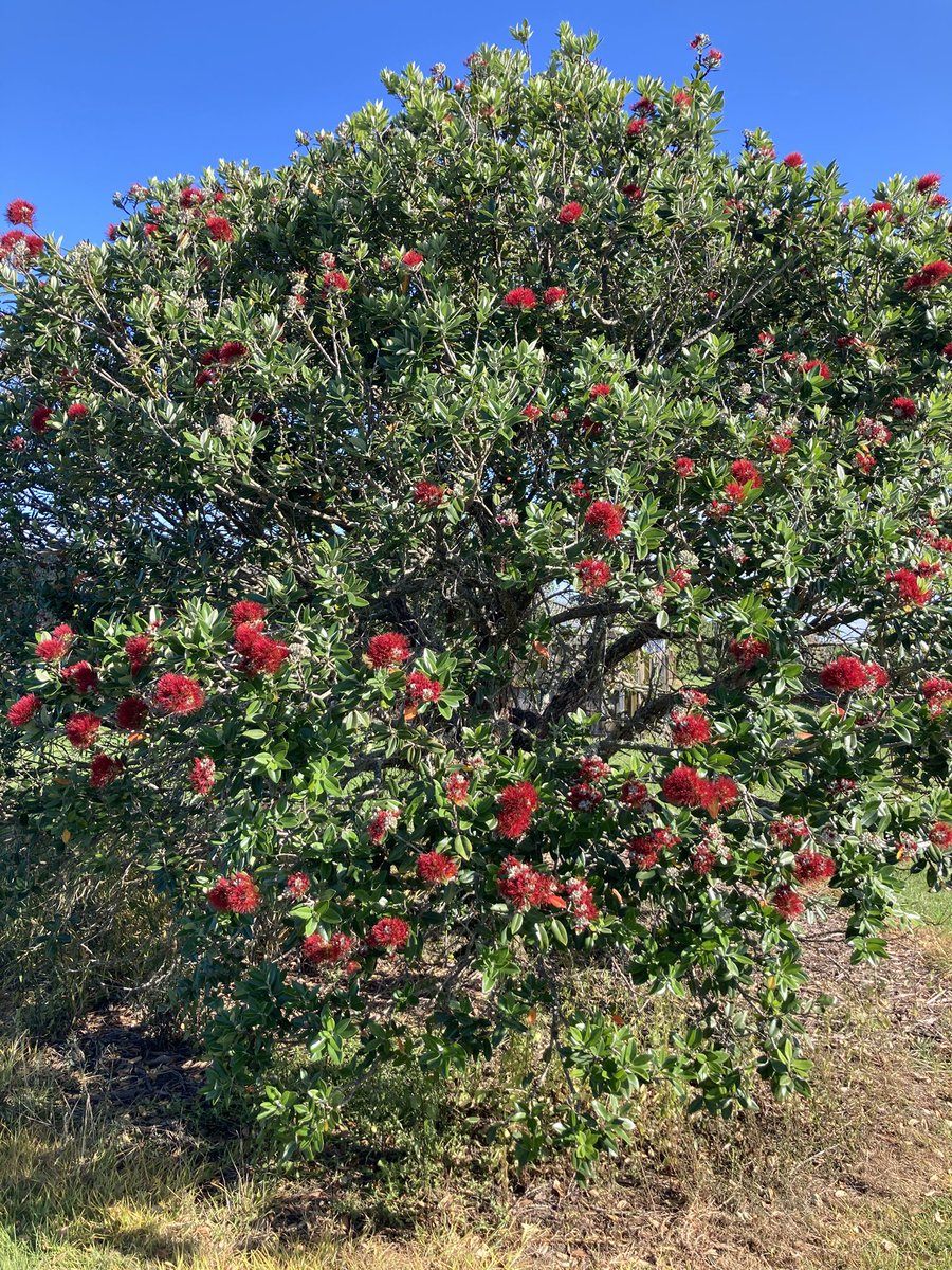 Summer is my favourite time of the year