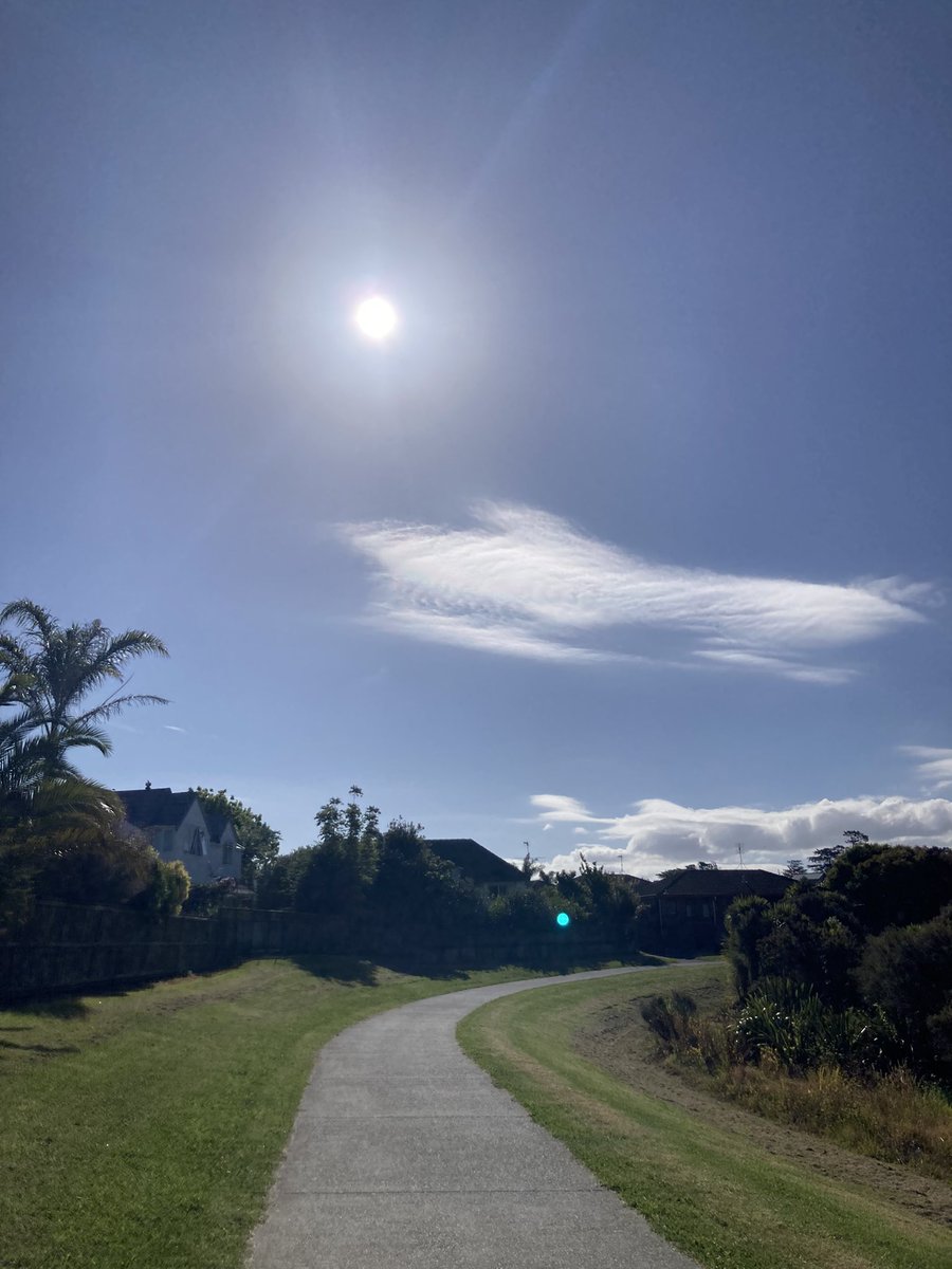 SurfMadDad tweet media