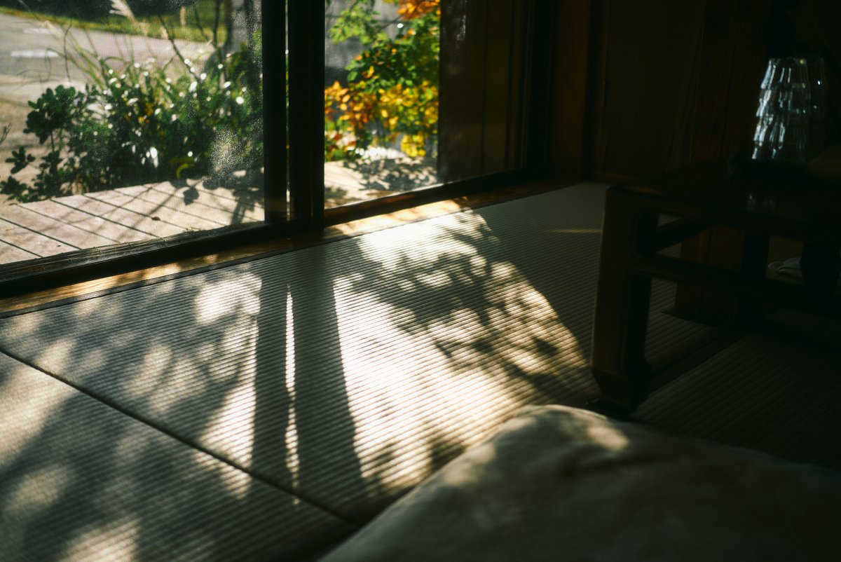 shintake_photo's tweet photo. Ordinary Day https://t.co/H0fzCDHGzv