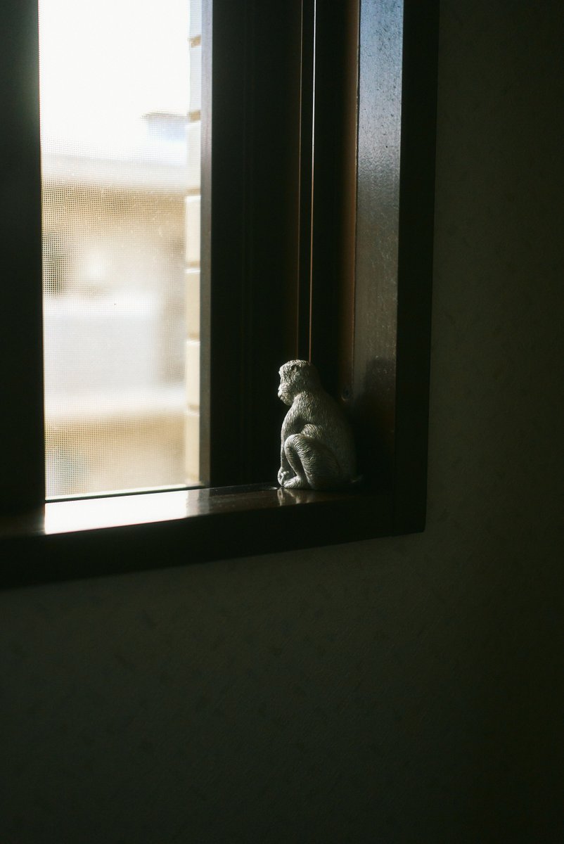 shintake_photo's tweet photo. Ordinary Day https://t.co/H0fzCDHGzv