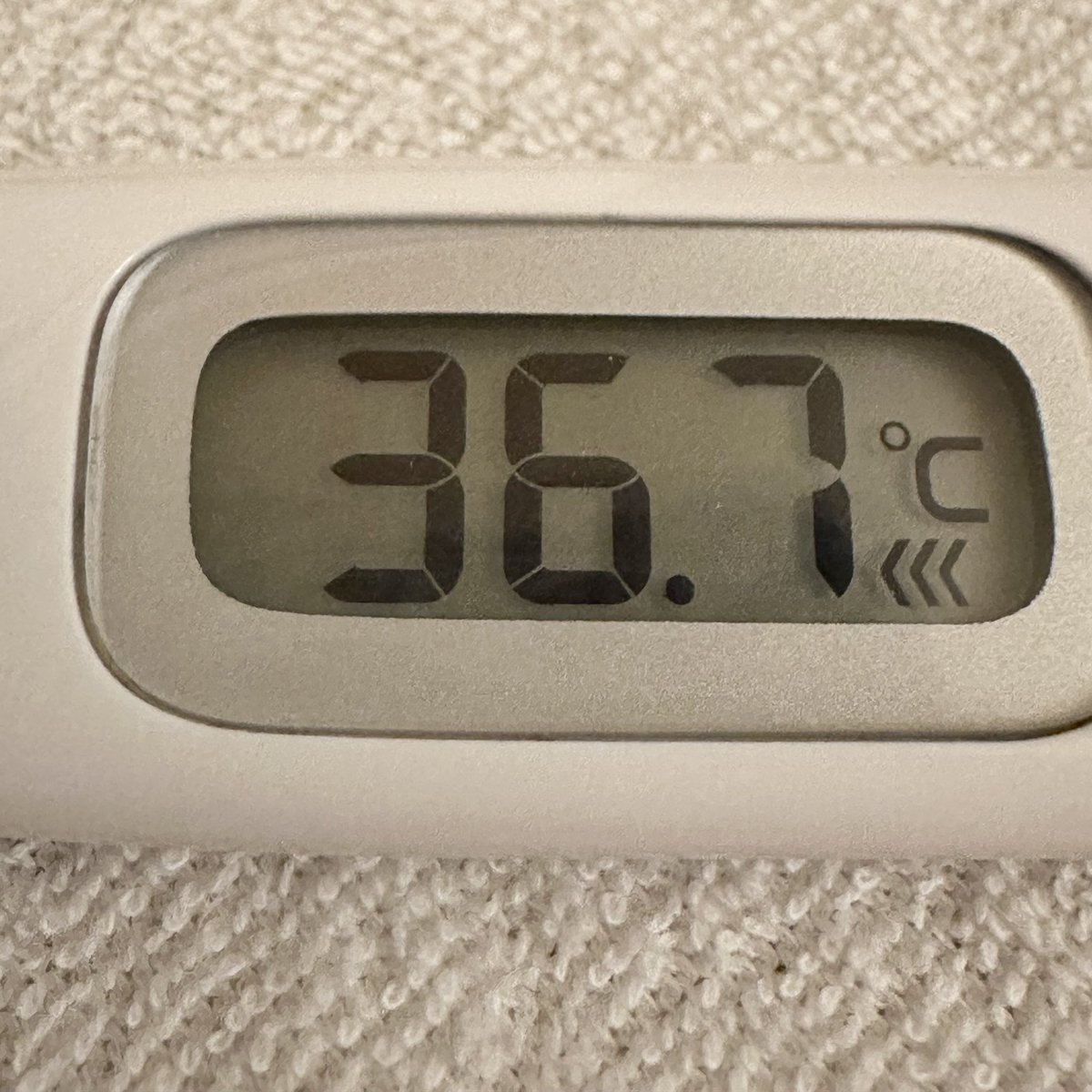 OK. 3, 2, 1, Let's JAM 

montreuxjazzfestival.jp

#SEATBELTS #YokoKanno #菅野よう子 #MJFJ2024