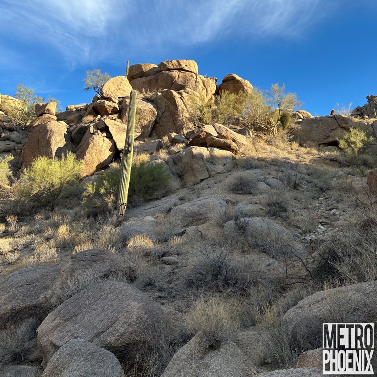 MetroPhoenix's tweet photo. Morning hike at Pinnacle Peak in Scottsdale. #metrophx #scottsdaleaz #pinnaclepeak #hiking #hikeaz https://t.co/WI27CjjwMr