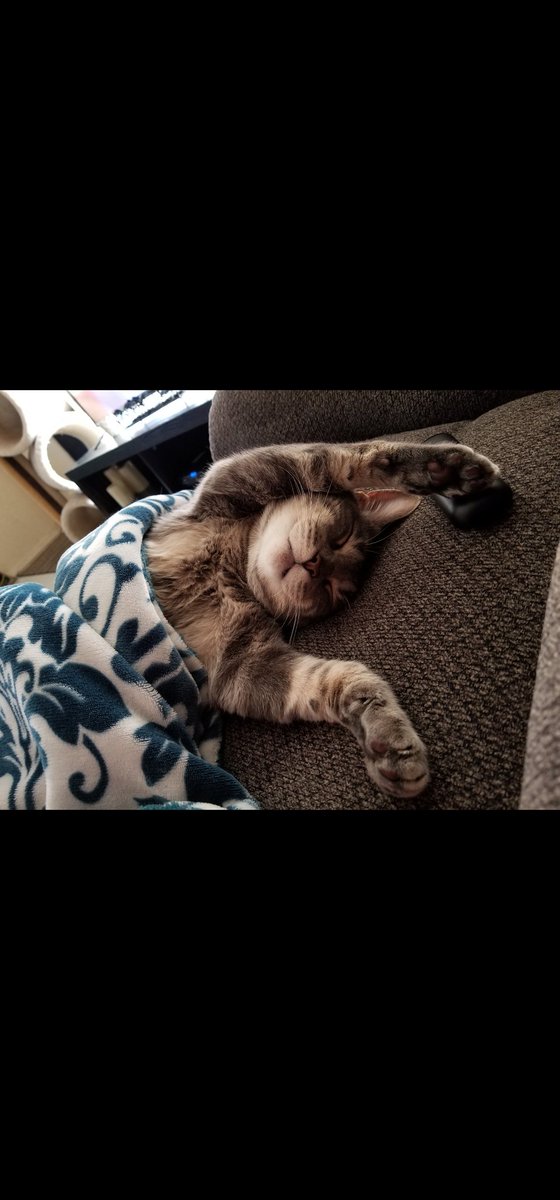 onlytoebeans's tweet photo. https://t.co/vcv0wQnlEU