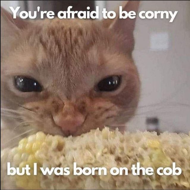 BonesN3's tweet photo. Be yourself, even if it makes you stand out. Xoxoxo 
#anacoach #edtwt https://t.co/IgHU8dATLx