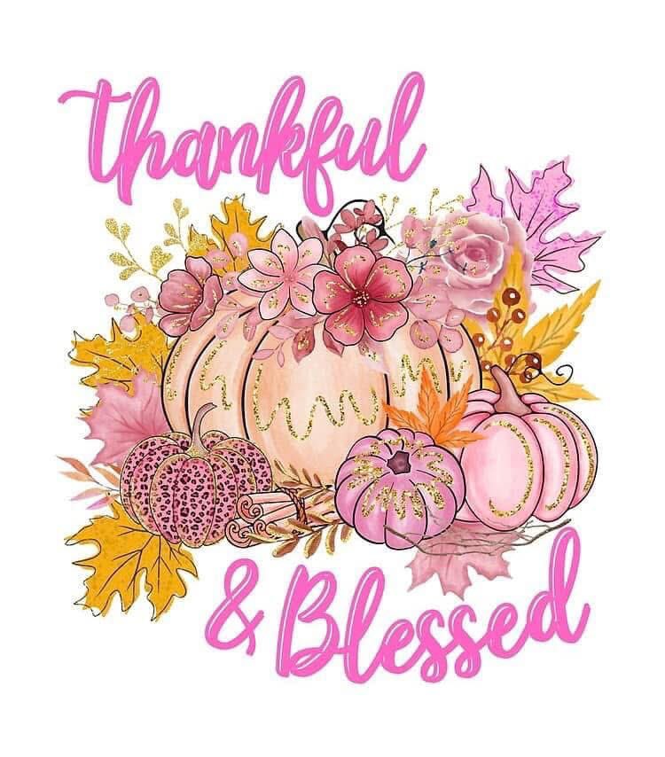 PinkPumpkin48's tweet photo. Thank you all from the bottom of our hearts for the donations we received yesterday!! 

$7,031 was donated and we are truly grateful as we continue to assist those in our local communities fighting breast cancer. 

All our appreciation and love, 
The Pink Pumpkin Project https://t.co/gDKdbqgc6h