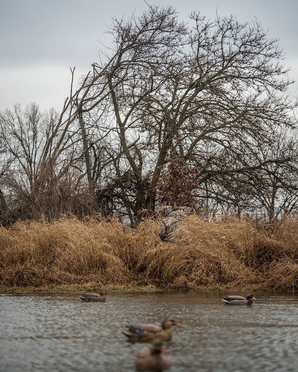 Realtree's tweet photo. The proof is in the pattern.

#Realtree #MAX7 https://t.co/NdPMeOYmBe