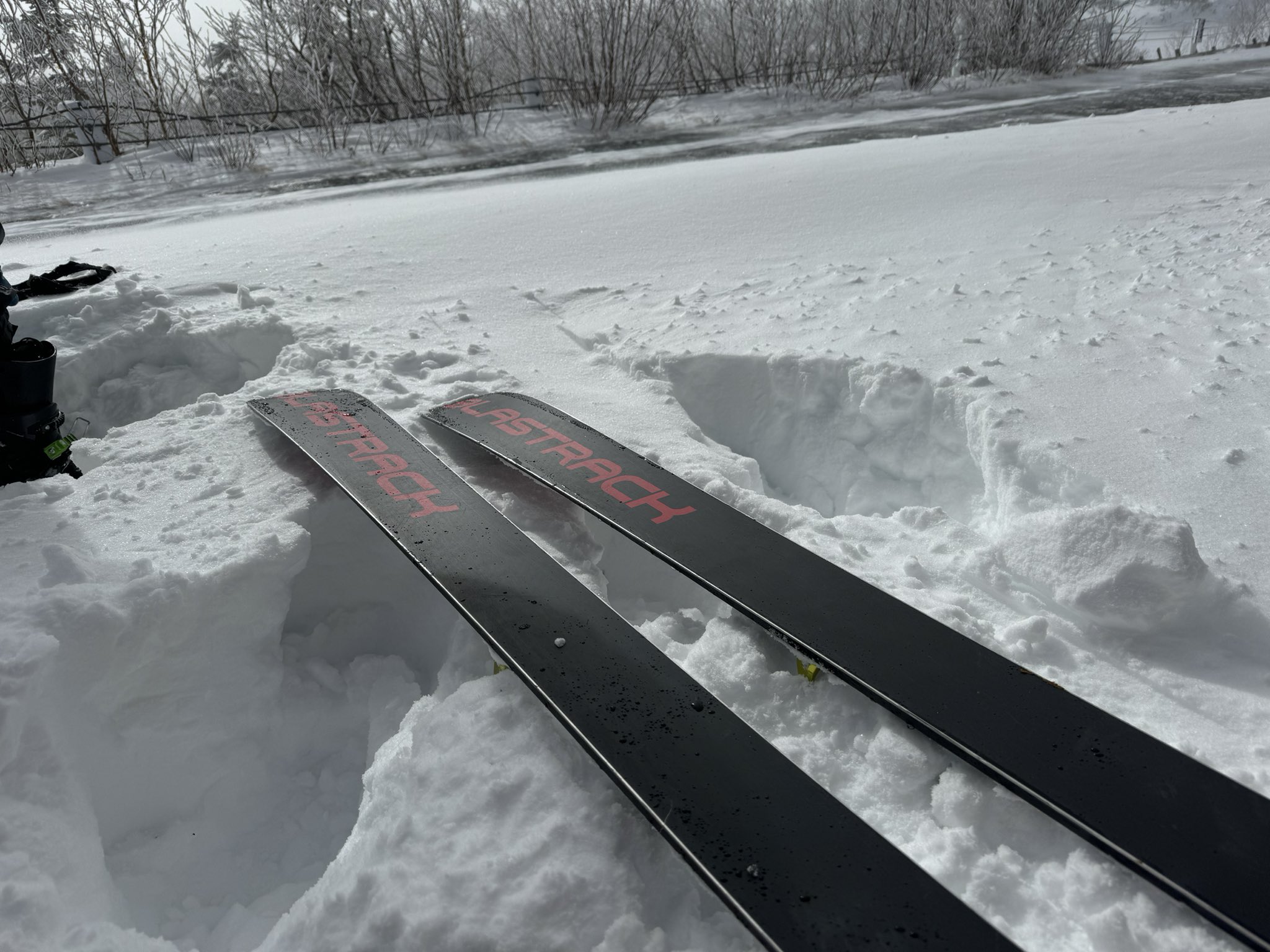 雪の降る朝の赤 雪の降る朝の赤