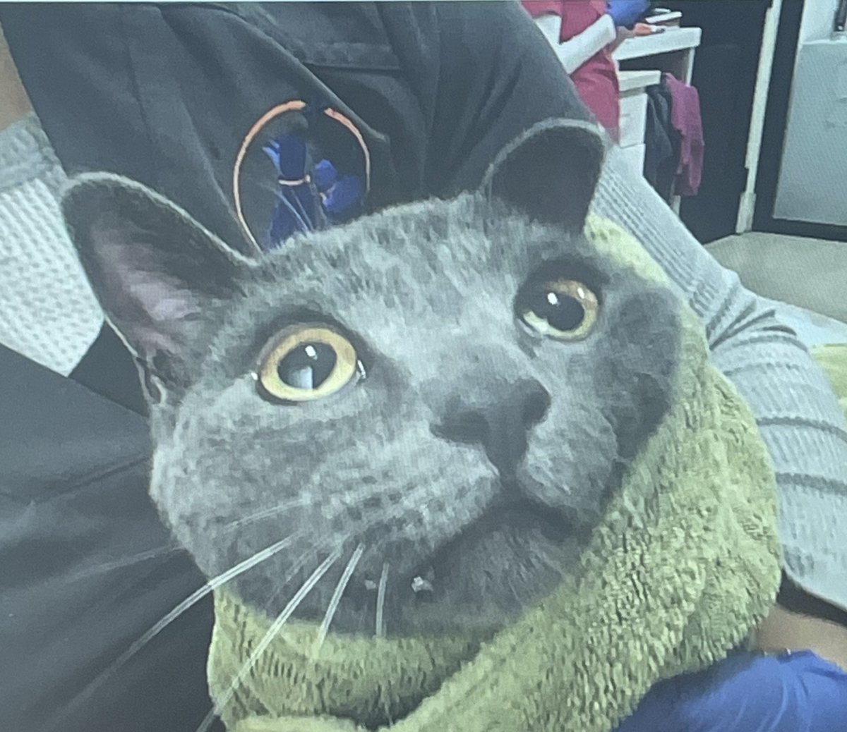 jamie loftus 🌭 tweet media