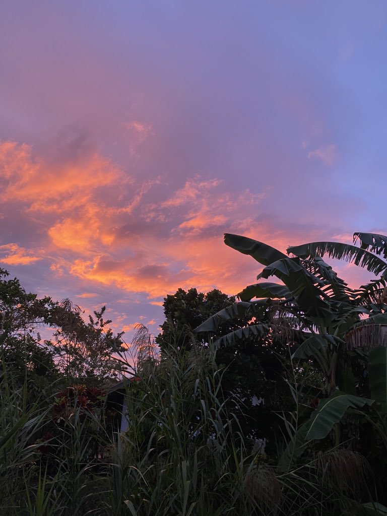iamdcdennis's tweet photo. #sunset

"Let it be done for you according to your faith.” https://t.co/wzccbm1kmE