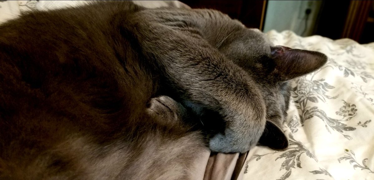 onlytoebeans's tweet photo. https://t.co/XqQXge7v3C