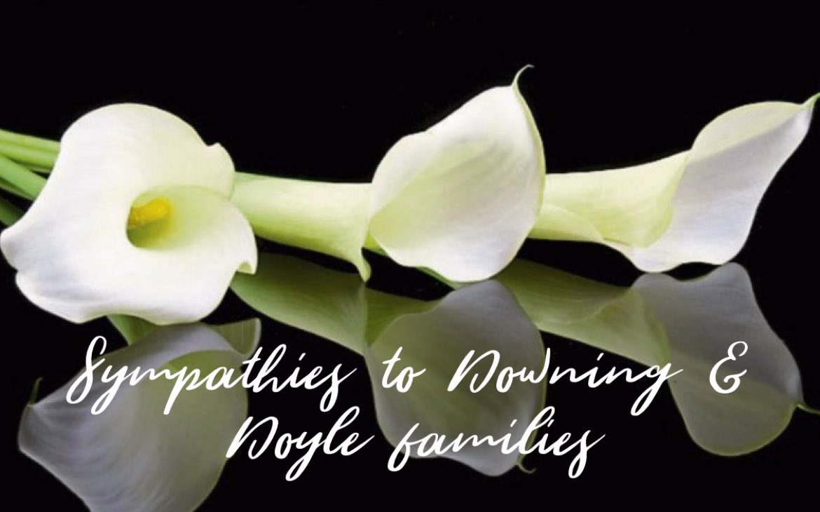 Pamela Deasy #PPIE Advocate 💜 tweet media