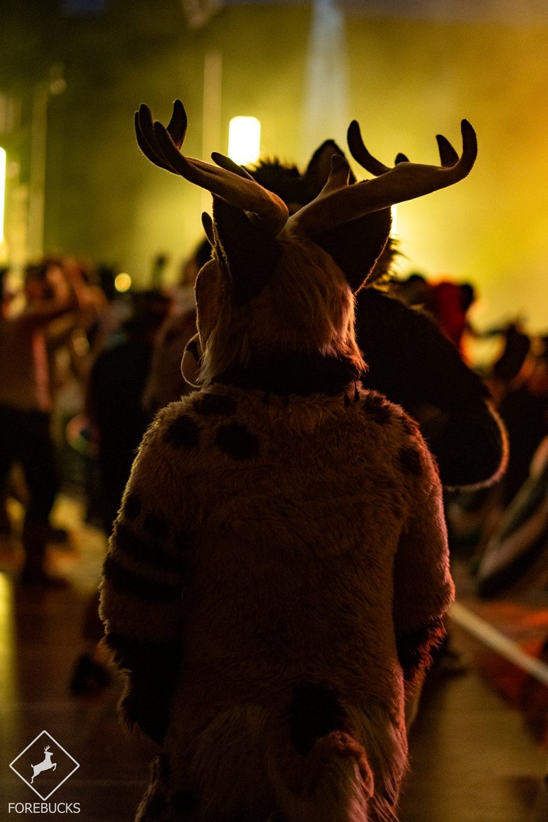 Aksel ➡️ NFC, VF tweet media