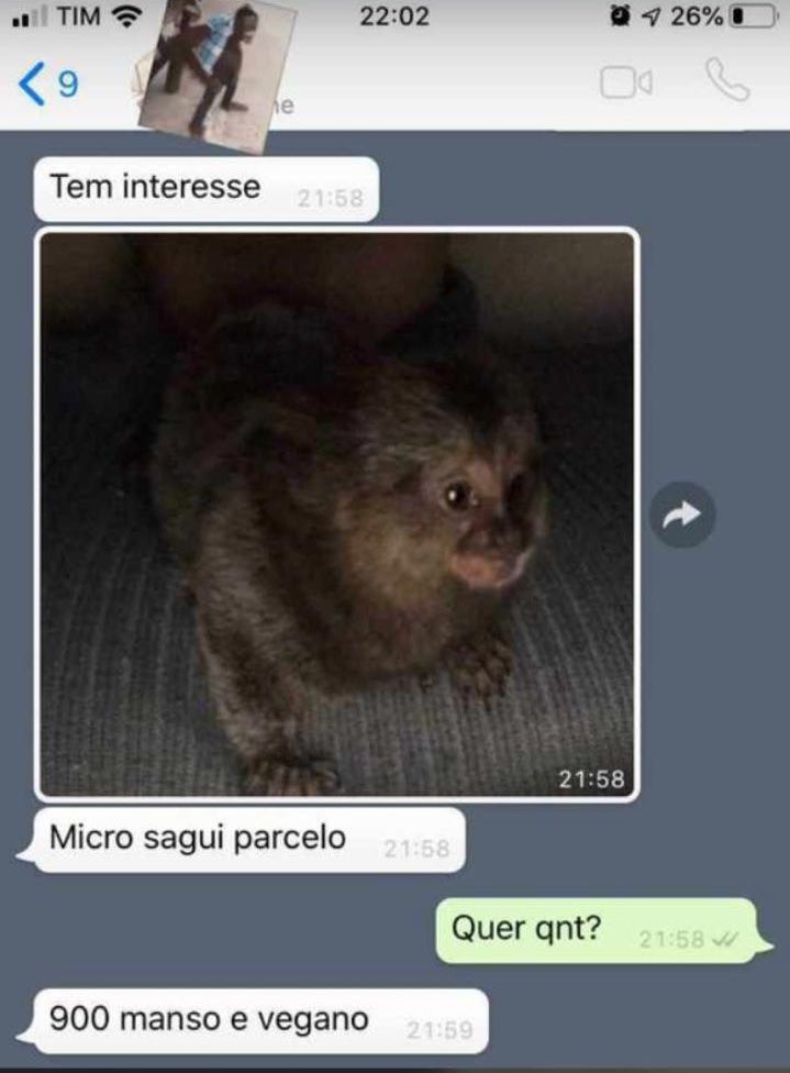 Kabrall8's tweet photo. @HumansNoContext https://t.co/xCNvmAzB1s