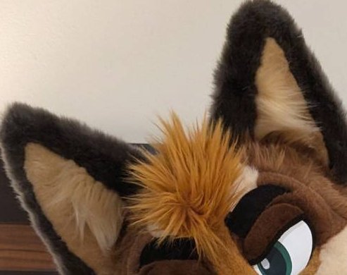 🎃Spice Wolf🐺➡️FC tweet media