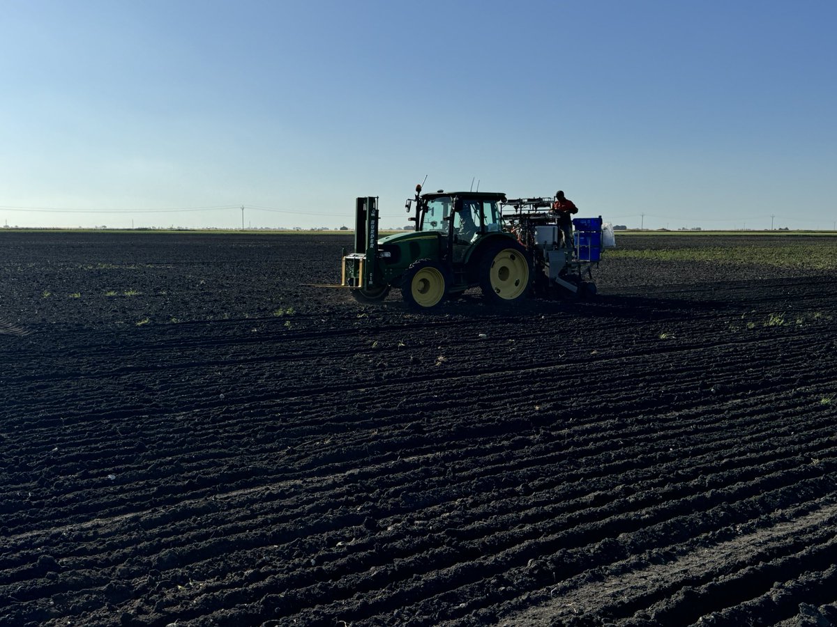 LongReach Plant Breeders (@breedersplant) on Twitter photo Making the most of the blue sky in Naracoorte, SA the <a href="/kalyx_australia/">Eurofins Kalyx</a> team got our Summer Nursery into the ground between the rain over the past week. Job well done! Making the most of the blue sky in Naracoorte, SA the <a href="/kalyx_australia/">Eurofins Kalyx</a> team got our Summer Nursery into the ground between the rain over the past week. Job well done!