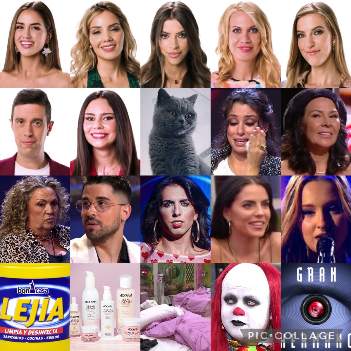 Portito 🫧🦖 tweet media