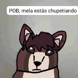 El pinche pato tweet media