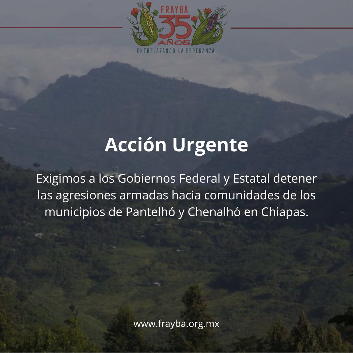 CdhFrayba's tweet photo. ✍🏽𝐅𝐢𝐫𝐦𝐚 𝐥𝐚 𝐀𝐜𝐜𝐢𝐨́𝐧 𝐔𝐫𝐠𝐞𝐧𝐭𝐞 
Exigimos a los Gobiernos Federal y Estatal detener las agresiones armadas hacia comunidades de los Altos de Chiapas, donde se han tenido que desplazar de manera forzada alrededor de 3,400 personas 📷 https://t.co/E91YYD9D0O https://t.co/TMIGSsdc6T