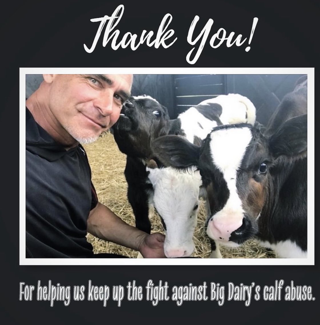 ARMInvestigatio's tweet photo. We did it - thanks to our amazing supporters, we hit our #GivingTuesday fundraising goal. 

Thank MOO ❤️👏🐮

#animalrecoverymissionsanctuary #animalrecoverymission #bigdairyabuse #givethanks #givingtuesday #gratitudeattitude https://t.co/h005spsSKC