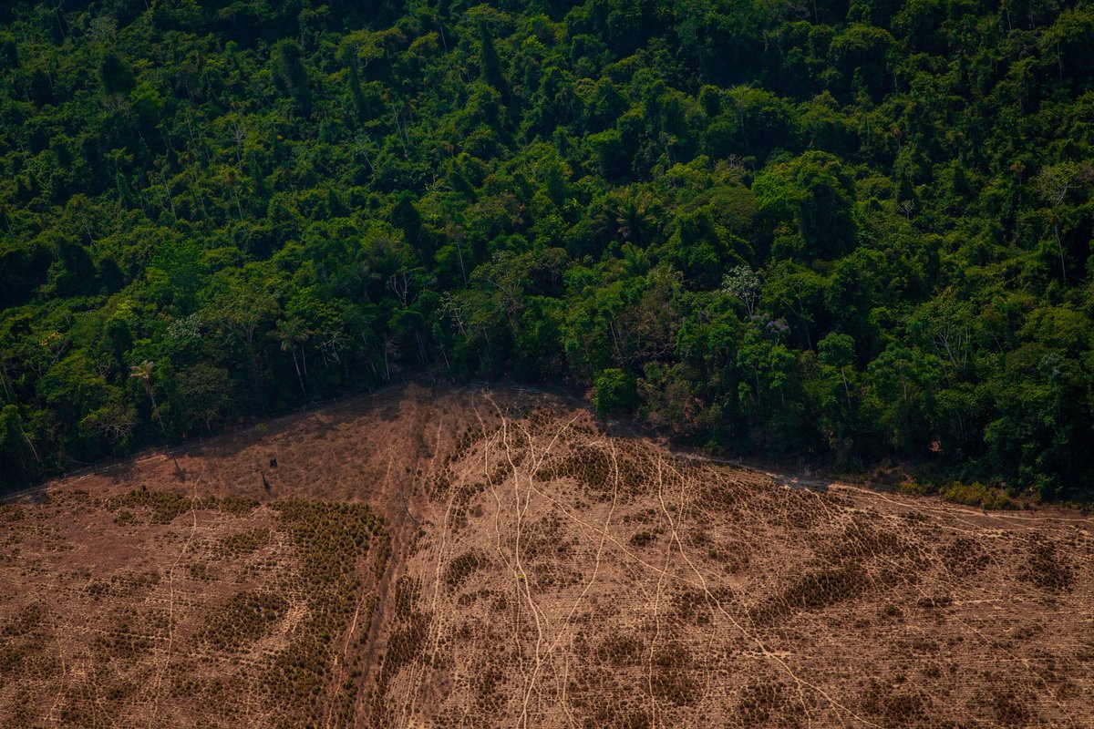 Future Earth (@futureearth.bsky.social) (@futureearth) on Twitter photo The Amazon is nearing critical thresholds. Protecting its #biocultural diversity is vital but not enough. We also need rapid global #emissions cuts.
Learn more: 10insightsclimate.science
#10ClimateInsights #10Insights @wcrp_climate <a href="/TheEarthLeague/">The Earth League</a> <a href="/ASUGlobalFuture/">ASU Julie Ann Wrigley Global Futures Laboratory</a> The Amazon is nearing critical thresholds. Protecting its #biocultural diversity is vital but not enough. We also need rapid global #emissions cuts.
Learn more: 10insightsclimate.science
#10ClimateInsights #10Insights @wcrp_climate <a href="/TheEarthLeague/">The Earth League</a> <a href="/ASUGlobalFuture/">ASU Julie Ann Wrigley Global Futures Laboratory</a>
