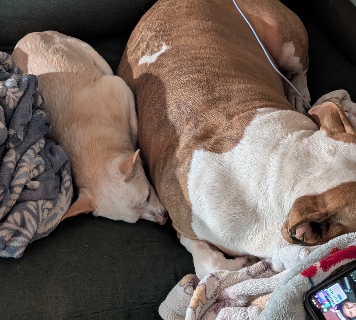 Little big spoon