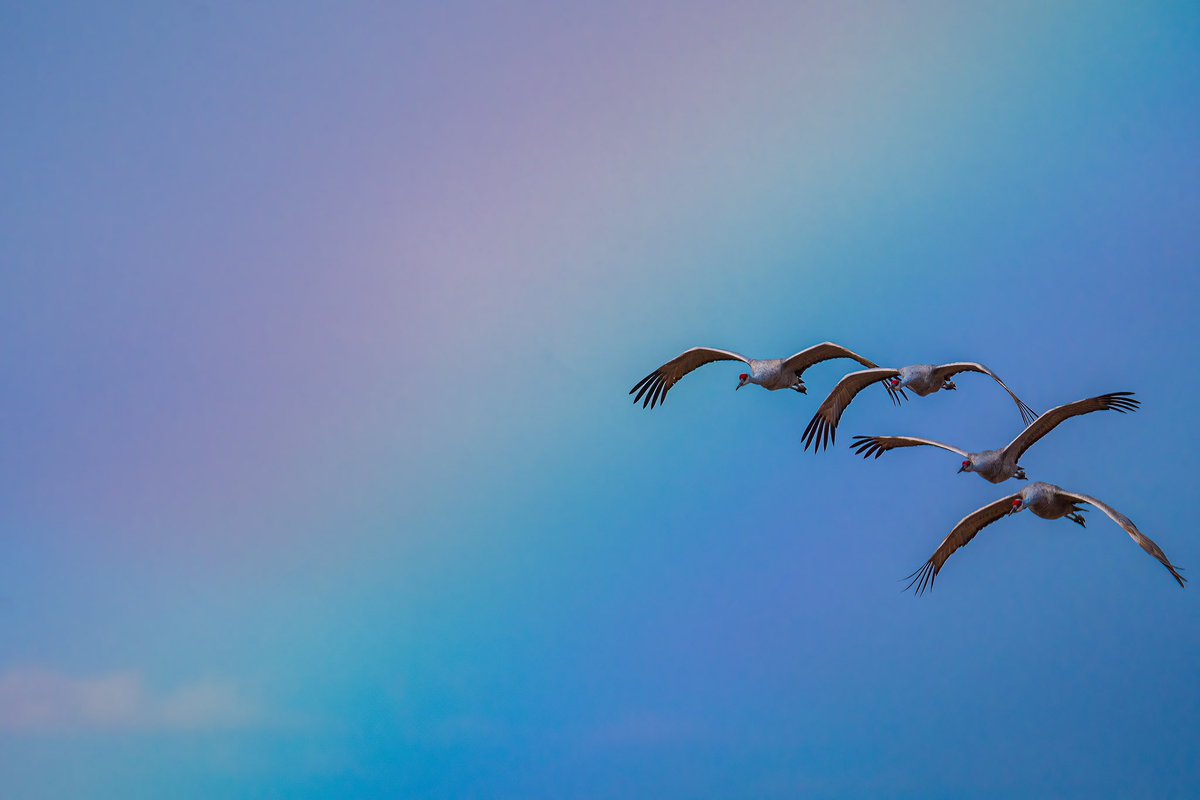 Scott McCormick Photography (mas-beyondo) tweet media