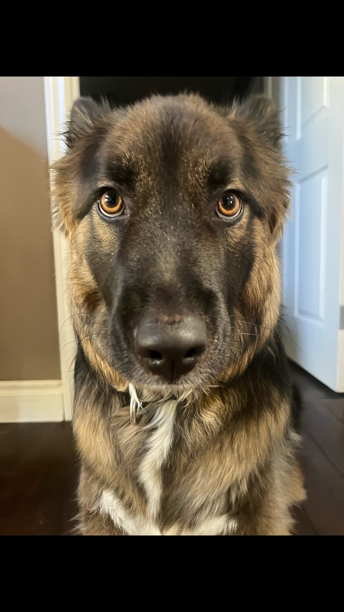 frowsed's tweet image. just a chill guy 🗿