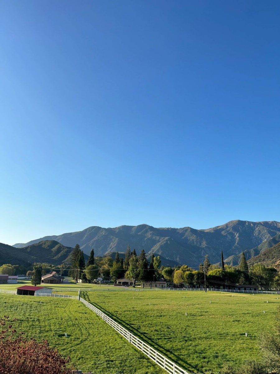 오늘도 햇살에 고양이처럼 충전했어요! ☀️ 내 기분은 이 맑은 날처럼 밝아요~