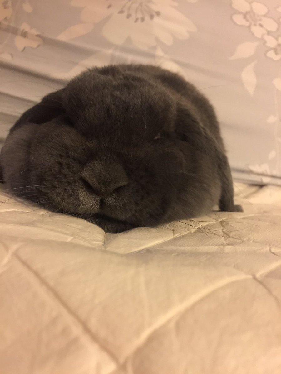 Paifinity tweet media