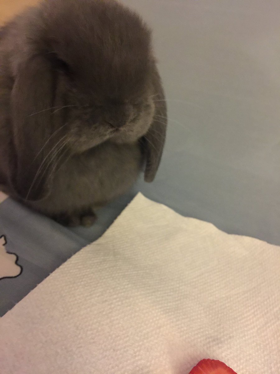 Paifinity tweet media