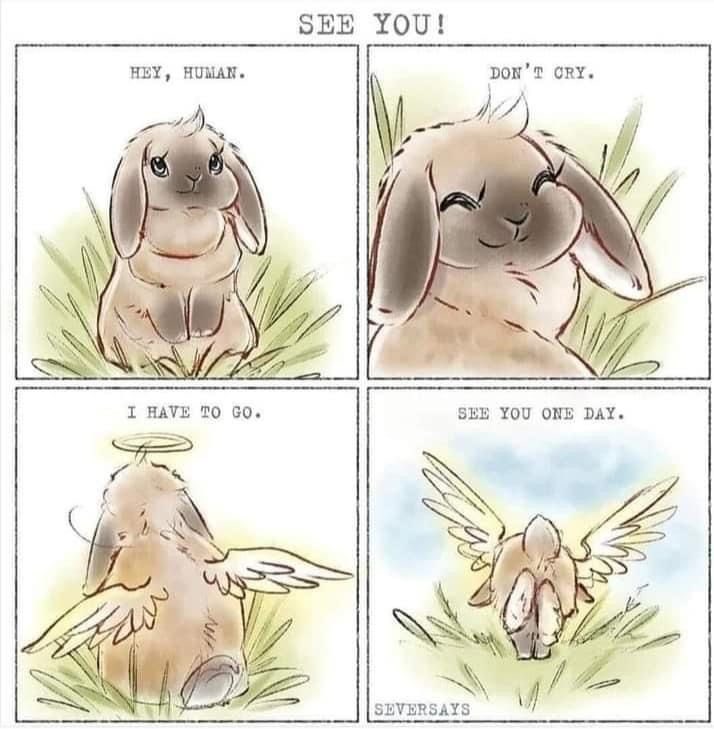 Paifinity tweet media