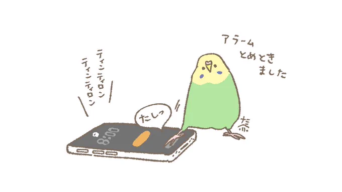 おはようございます☀️
休日はゆっくり寝てたい12月8日(日)の朝です。
アラーム止めておいたよ。
 #セキセイインコ 
