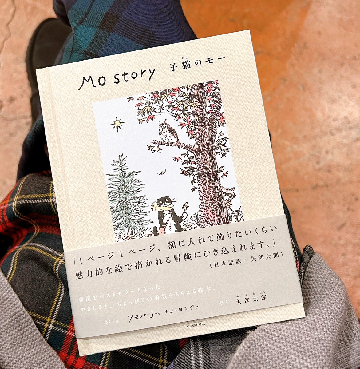 55livre55's tweet photo. またもや本屋で一冊読んでしまった。
かわいいかわいいお話と絵に癒された🫶
#mostory
#子猫のモー https://t.co/sVc7RoG1Br