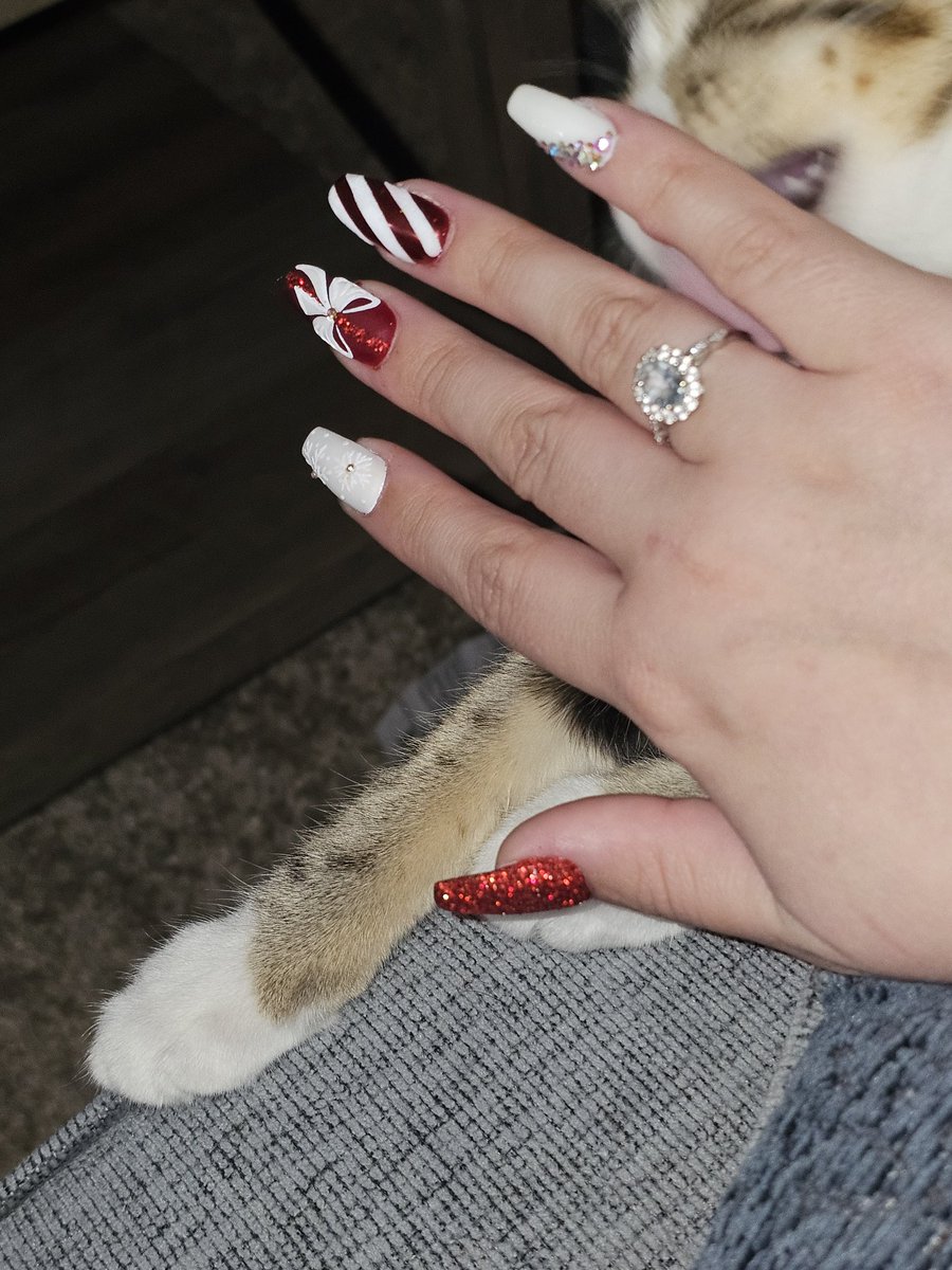 Tried to take a picture of my new nails, but Taquito reeeeally likes them. 😅😂