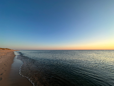 Innovation is going to happen a lot faster than most people think, and Aptos is impatient to get moving, co-founder and chief technology officer Avery Ching told Cointelegraph’s Arijit Sarkar at India Blockchain Week 2024.