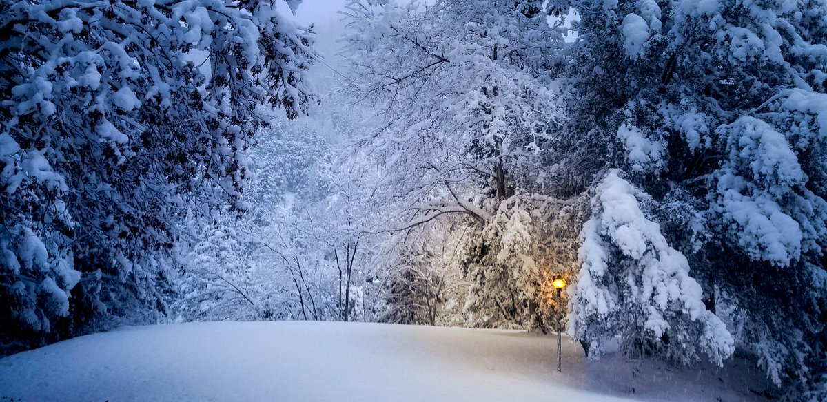 Winter's Lamp. 
#narnia #winter #lamps #landscape #photograghy