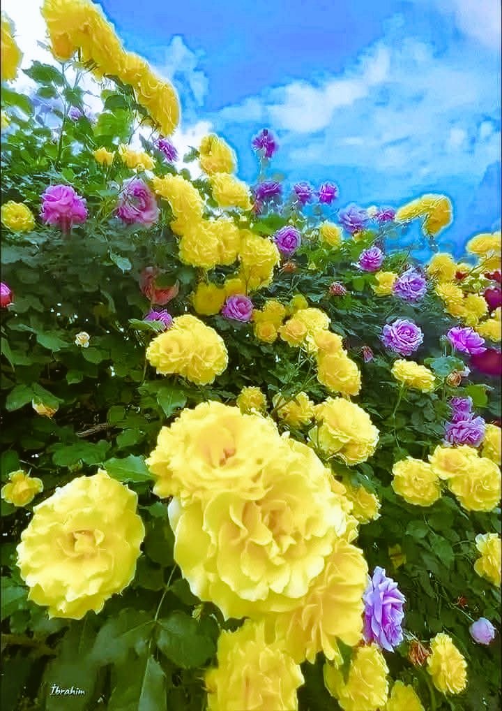 FaizaGulfaraz's tweet photo. #GPG🌟
@Ghz97
@Aly9a
@Fat9T
@_1rha
@Trq88
@ik_553
@As_t40
@1Ashi5
@111mn1
@Hfz672
@n_oo_r7
@Sd_S10
@AS1k34
@m81mh
@IKVEBS
@SKN322
@Msaqb9
@OdriSeva
@Sc2017W
@553ik @2Snbr
@1_ruer @Triq25
@Arsl_4 @zz70m
@Aj__55 @_S_m_4
@Qen_pro @bndy66
@1lsura @glmsjd @Ghz21
@Ghz79 @YPS26 @Lub_03 https://t.co/T56f08LKvO