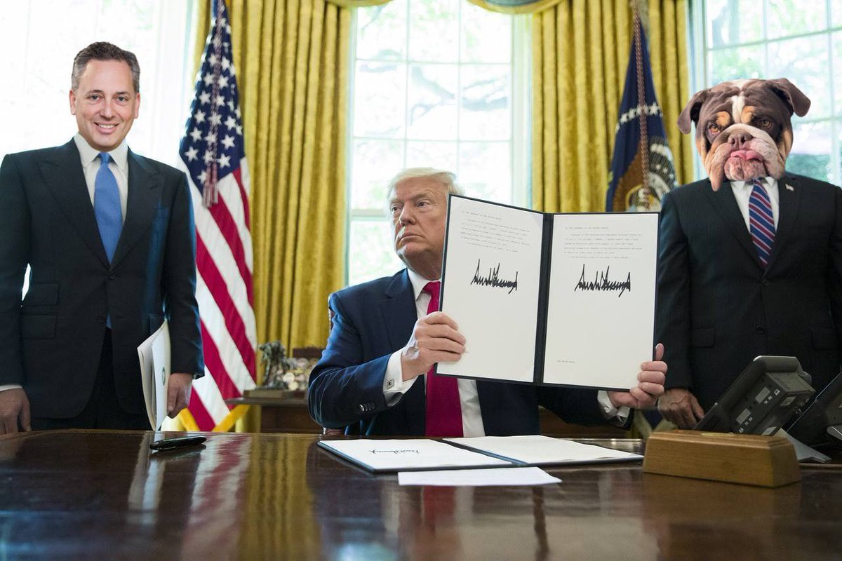 MooseCoinOnSol's tweet photo. The Moosecoin community is eagerly waiting to see your dog Moose at the White House, Mr. @DavidSacks ! 🐶🐾🇺🇸 Maybe we can get Moose a VIP pass too? 😂 #MooseForPresident #DavidSacks #MooseInTheWhiteHouse” https://t.co/P1ChJYJ8ar