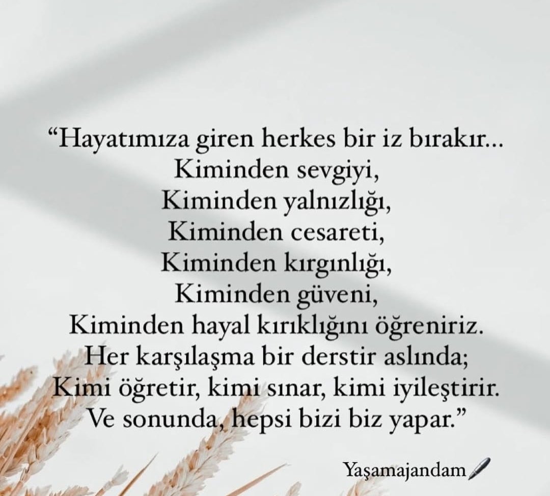 Hale GÜLOĞLU (@zeynephl_66) on Twitter photo 