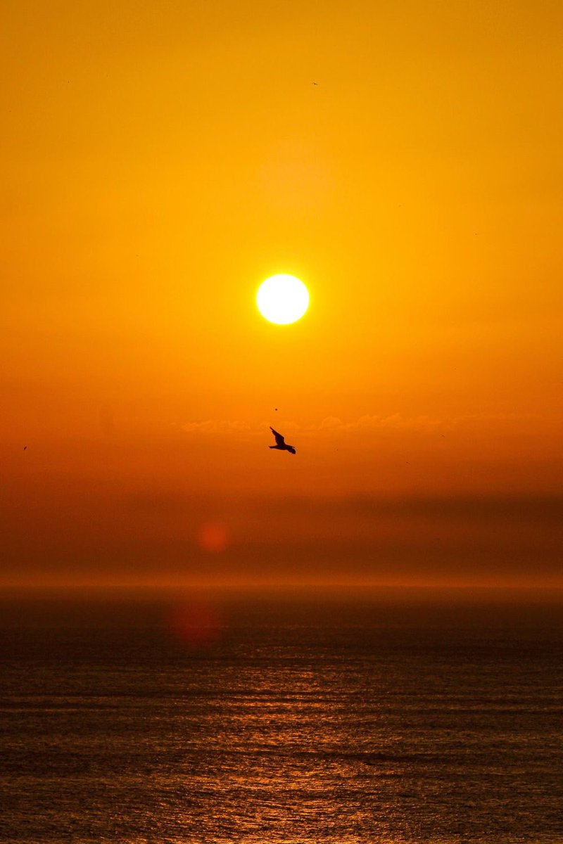Photographers, drop few SUNSET pictures ✨

Re-Posting !!!