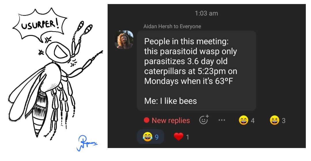 Session 1: Usurpers!!!
#Hymathon2024 #ISH #Hymenoptera