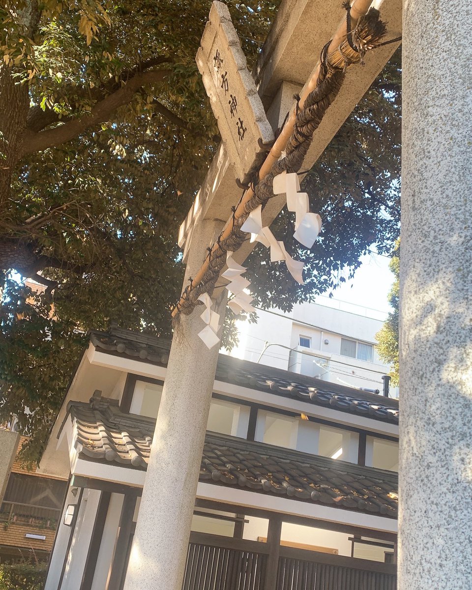 _4Never11No2_'s tweet photo. 銀杏アレルギーです。 https://t.co/KpeRKh56Fz