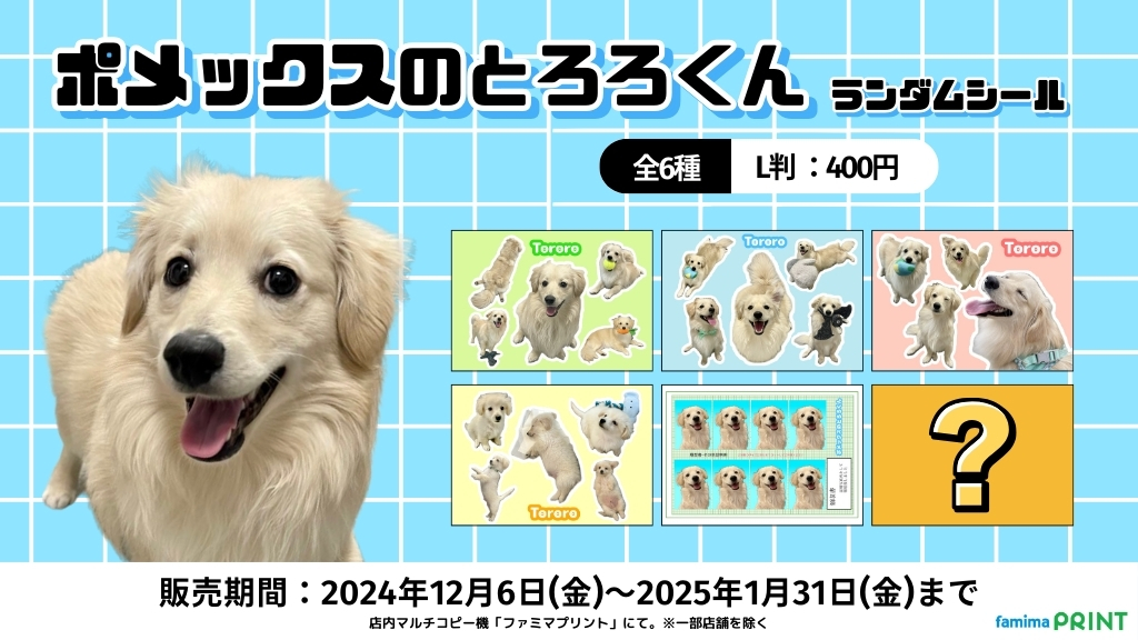 とろろ犬　エメラルド ポメックスのとろろくんコラボアイテム
