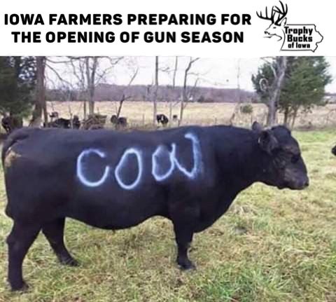 Iowa farmers tomorrow to prepare for gun season.  #Trophybucksofiowa #shareyourtrophy #iowa #deer #whitetail #hunting #deerhunting <a href="/IowaChill/">Iowa Chill</a>