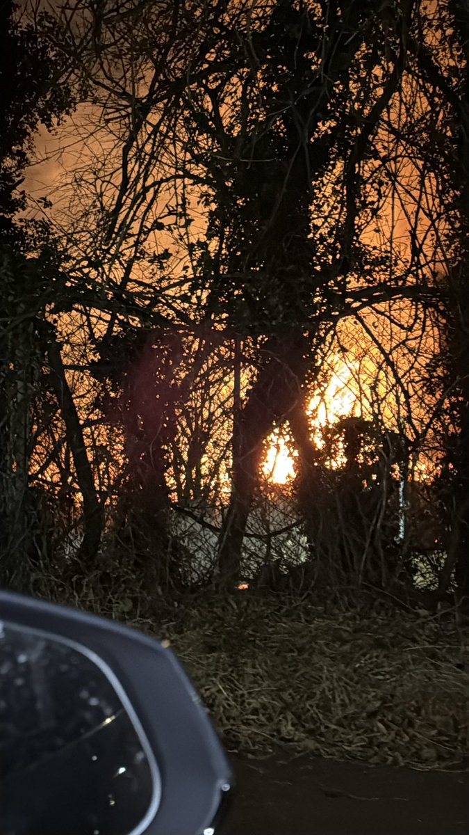 Judy F. S. Kelly tweet media