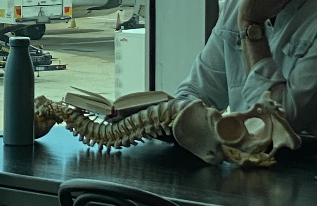 Geoffrey McDermott tweet media