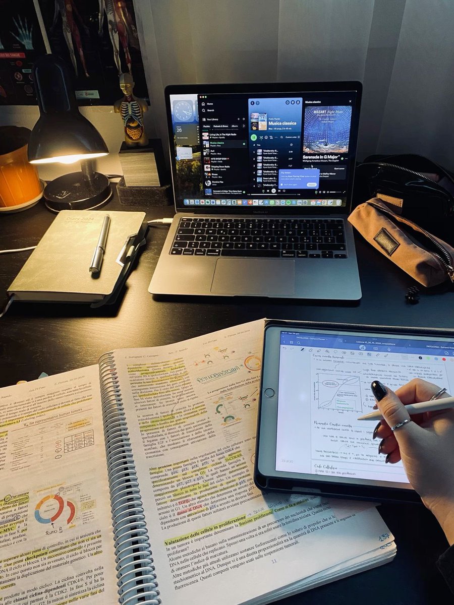 nrcistic's tweet photo. Laptop bagus under 10 jutaan udah cocok dipake buat kerja ataupun kuliah diberbagai jurusan, dan pastinya bisa dipake buat jangka panjang

Jadi mau kasih rekomendasi laptop under 10jutaan yang cocok dipake buat kuliah &amp; kerja dan pastinya bisa dipakai buat jangka panjang💻🧑🏻‍💻 https://t.co/yAOuIjcg8h