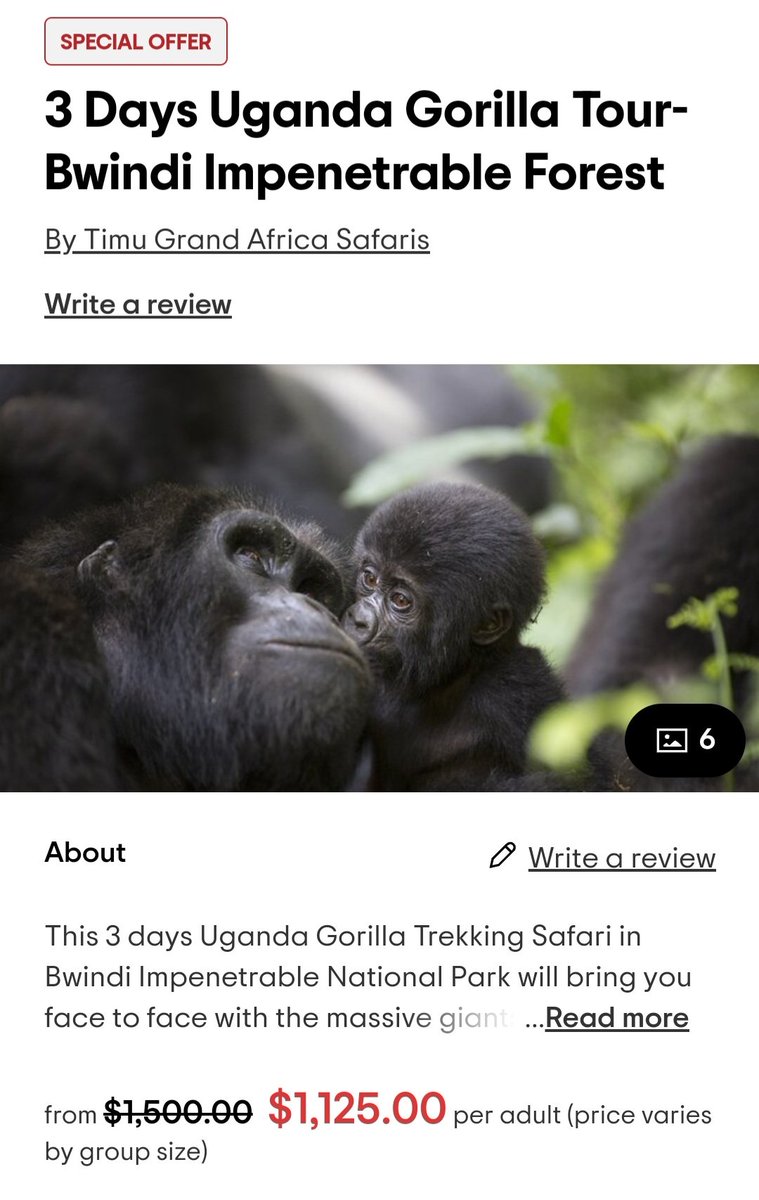 🌍 Hot #Holiday Deal! 🦍
3 Days #Uganda #Gorilla #Trekking in the breathtaking #Bwindi Impenetrable Forest 🌿
Operated by: TIMU Grand Africa Safaris
🎰 Limited slots – Book now! 👉 lnkd.in/g4g8eYhw
#TravelDeals #ExploreUganda #AdventureTravel