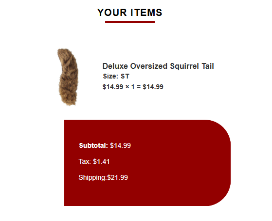 explaining to my accountant why it's financially necessary to spend $21 on overnight shipping for a human-sized squirrel tail https://t.co/1zvnwYUhOI